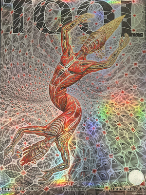 Tool Bonnaroo Manchester, TN 2022 Alex Grey