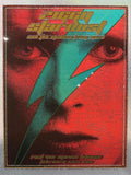 David Bowie Ziggy Stardust Limited Edition Dave Hunter 2011