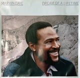 Marvin Gaye Dream of a Lifetime 1985