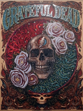 Grateful Dead Skull and Roses N.C. Winter