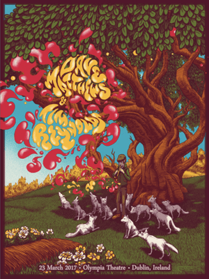 Dave Matthews and Tim Reynolds 2017 Dublin James Flames